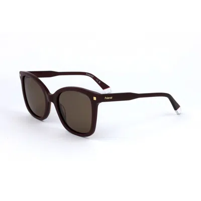 Polaroid Red Acetate Sunglasses In Brown
