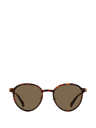 Polaroid Round-frame Clip-on Sunglasses In Brown