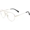 Polaroid Unisex 55 Mm Gold Opticals In Gold