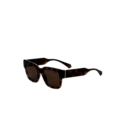Polaroid Women's 52mm Brown Sunglasses