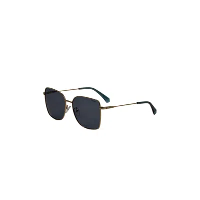 Polaroid Women's 52mm Gold Sunglasses In Multi