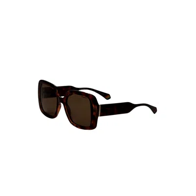 Polaroid Women's 54mm Brown Sunglasses