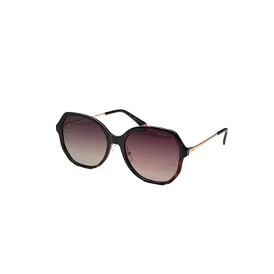 Polaroid Women's 57 Mm Havana Sunglasses