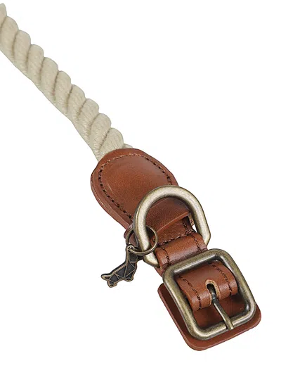 Poldo Dog Couture Leash Collar In Brown