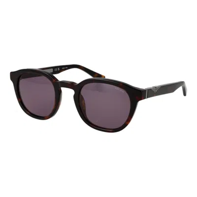 Police Brown Cellulose Acetate Sunglasses In Black