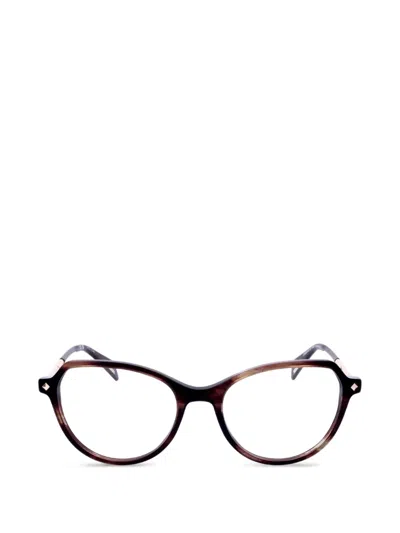 Police Butterfly-frame Glasses In Brown