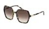 Police Sunglasses In Shiny Havana Soya
