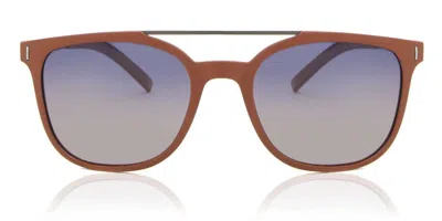 Police Spl169 Wager 1 Polarized Nkjp Men's Sunglasses Brown Size 52