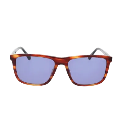 Police Sple05 Sunglasses In Brown