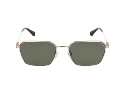 Police Sunglasses In Neutral