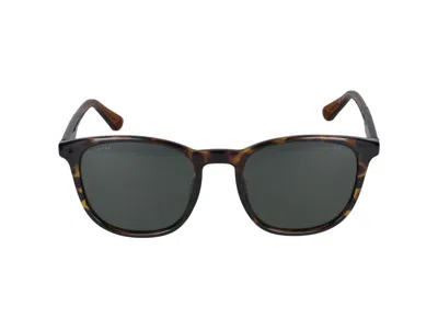 Police Sunglasses In Brown