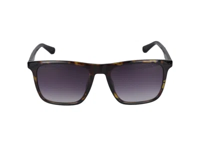 Police Sunglasses In Multicolor