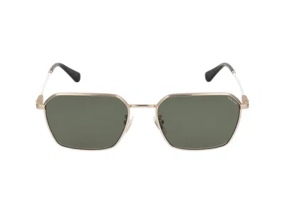 Police Sunglasses  Spll84 0300 Oro Rose' Lucido Totale /19/145 In Green