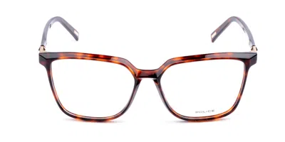 Police Vplf27m Men's Glasses, Tortoiseshell, Size 55 In Brown