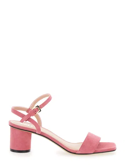 Pollini Bloch Ankle-strap Sandals In Pink