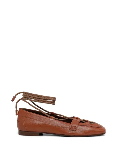 Pollini Lace-up Square-toe Ballet Flats In Brown
