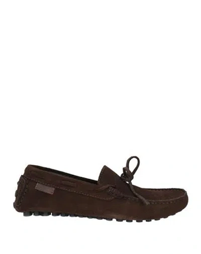 Pollini Man Loafers Dark Brown Size 6 Leather In Multi
