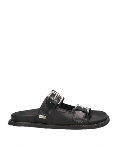 Pollini Man Sandals Black Size 12 Cowhide