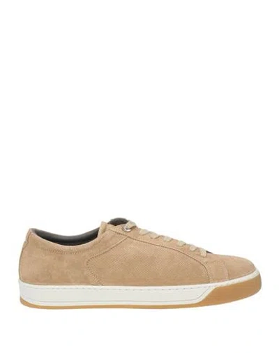 Pollini Man Sneakers Beige Size 11 Leather In Neutral