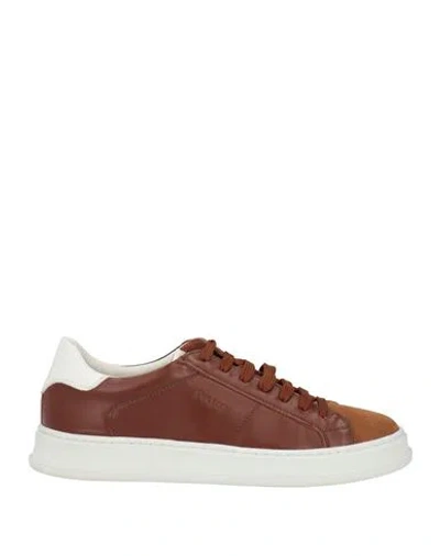 Pollini Man Sneakers Brown Size 10 Calfskin