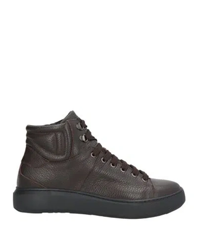 Pollini Man Sneakers Dark Brown Size 7 Leather