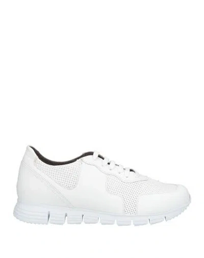 Pollini Man Sneakers White Size 9 Leather