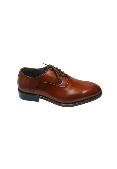 Pollini Pb10282c9evit210  Man Brown Leather In Multi