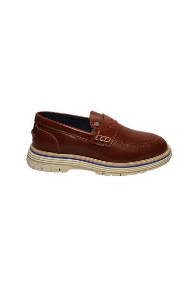 Pollini Pb10383g9evit300  Man Brown Leather In Multi