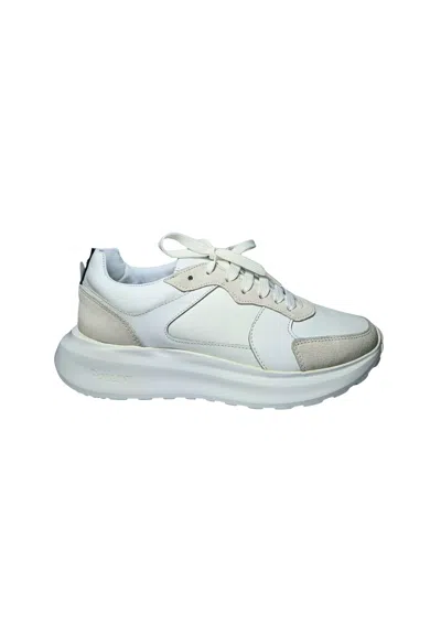 Pollini Pb15024g9fnve10a  Man Nappa White In Multi