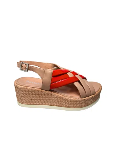 Pollini Sa16085g9enap50b  Women's Nappa Multicolor