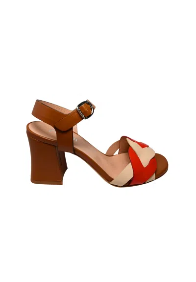 Pollini Sa16157c9enap10b  Women's Nappa Multicolor In Brown