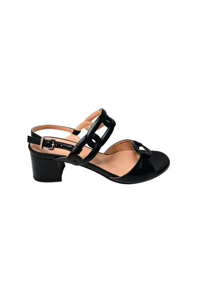 Pollini Sa16224c9enap000  Woman Nappa Black