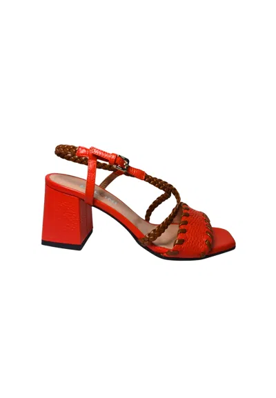 Pollini Sa16446c0ete345a  Women's Orange Leather In Multi
