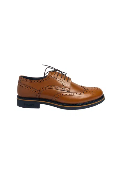 Pollini Sb10233g0euk0200  Man Brown Leather