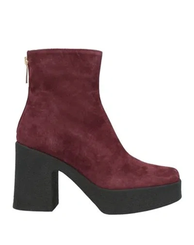 Pollini Woman Ankle Boots Plum Size 8 Leather In Multi