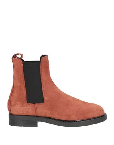 Pollini Woman Ankle Boots Rust Size 8 Leather In Red
