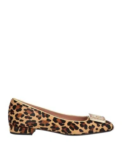 Pollini Woman Ballet Flats Camel Size 8 Calfskin, Polyolefin In Animal Print