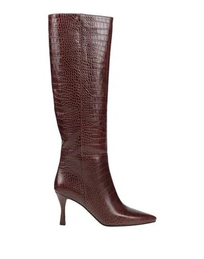 Pollini Woman Boot Burgundy Size 8 Calfskin In Brown