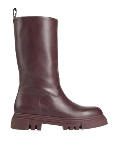 Pollini Woman Boot Chocolate Brown Size 8 Calfskin