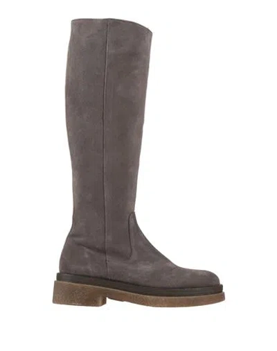 Pollini Woman Boot Lead Size 8 Leather In Brown