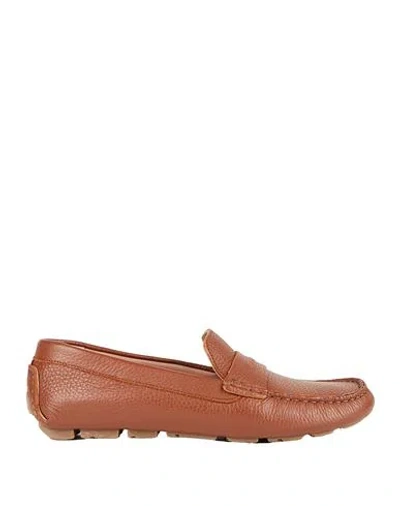 Pollini Woman Loafers Brown Size 9 Leather