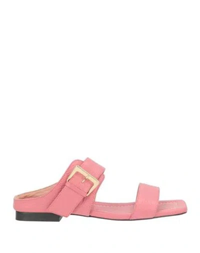 Pollini Woman Sandals Antique Rose Size 7 Calfskin In Pink