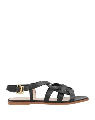 Pollini Woman Sandals Black Size 10 Leather