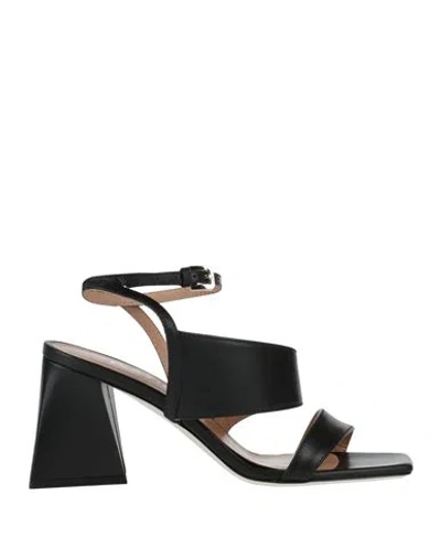 Pollini Woman Sandals Black Size 11 Calfskin