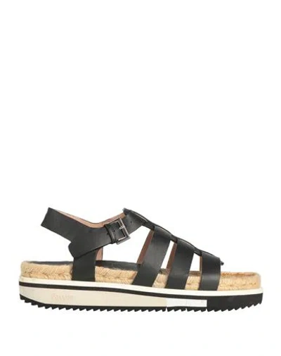 Pollini Woman Sandals Black Size 11 Cowhide