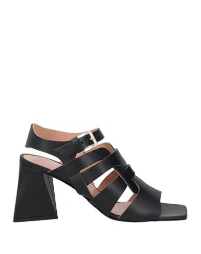 Pollini Woman Sandals Black Size 11 Cowhide
