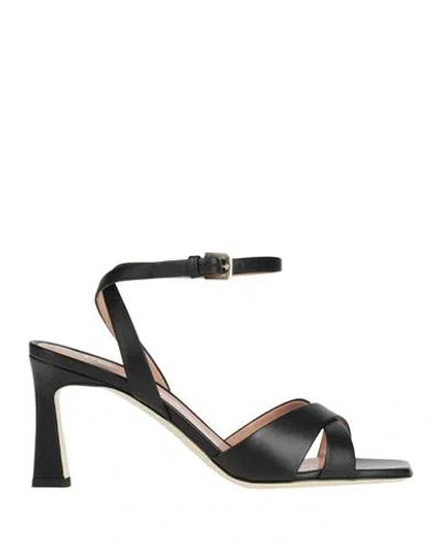Pollini Woman Sandals Black Size 5 Calfskin