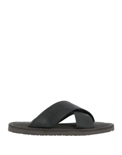 Pollini Woman Sandals Black Size 5 Leather