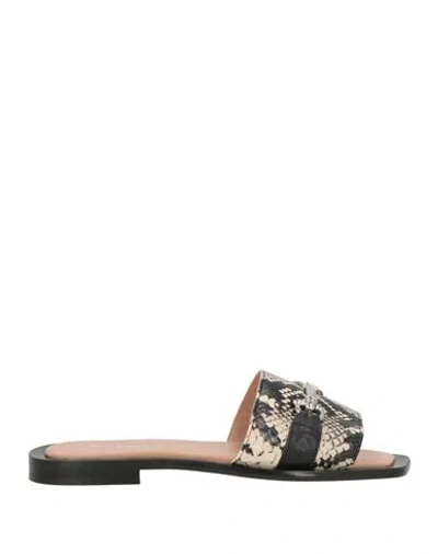 Pollini Woman Sandals Black Size 5 Leather In Multi
