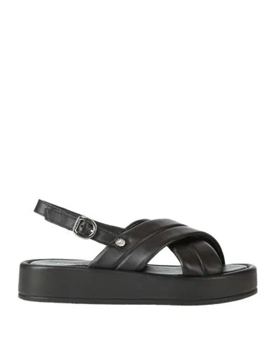 Pollini Woman Sandals Black Size 5 Leather In Multi